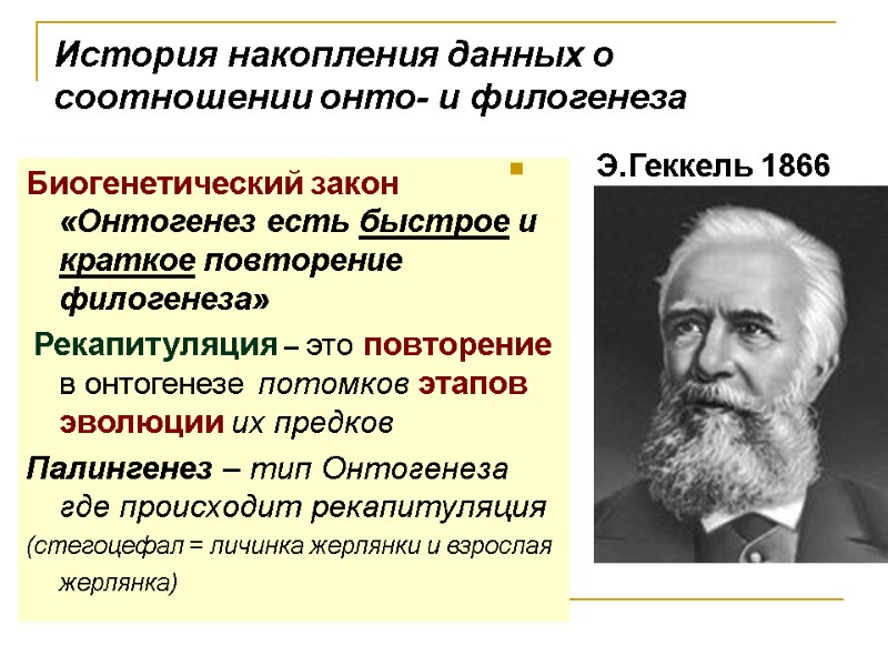 История накопления данных о соотношении онто- и филогенеза Биогенетический закон «Онтогенез есть быстрое и История накопления данных о соотношении онто- и филогенеза Биогенетический закон «Онтогенез есть быстрое и